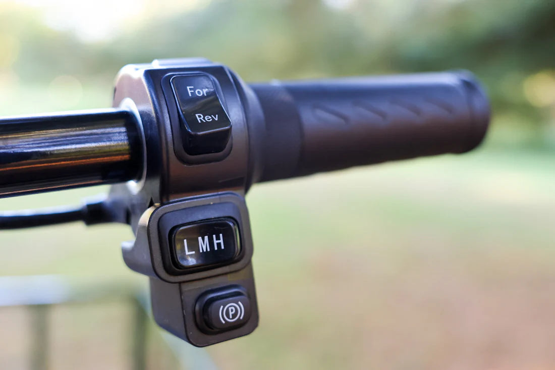 Electric Utility Cart